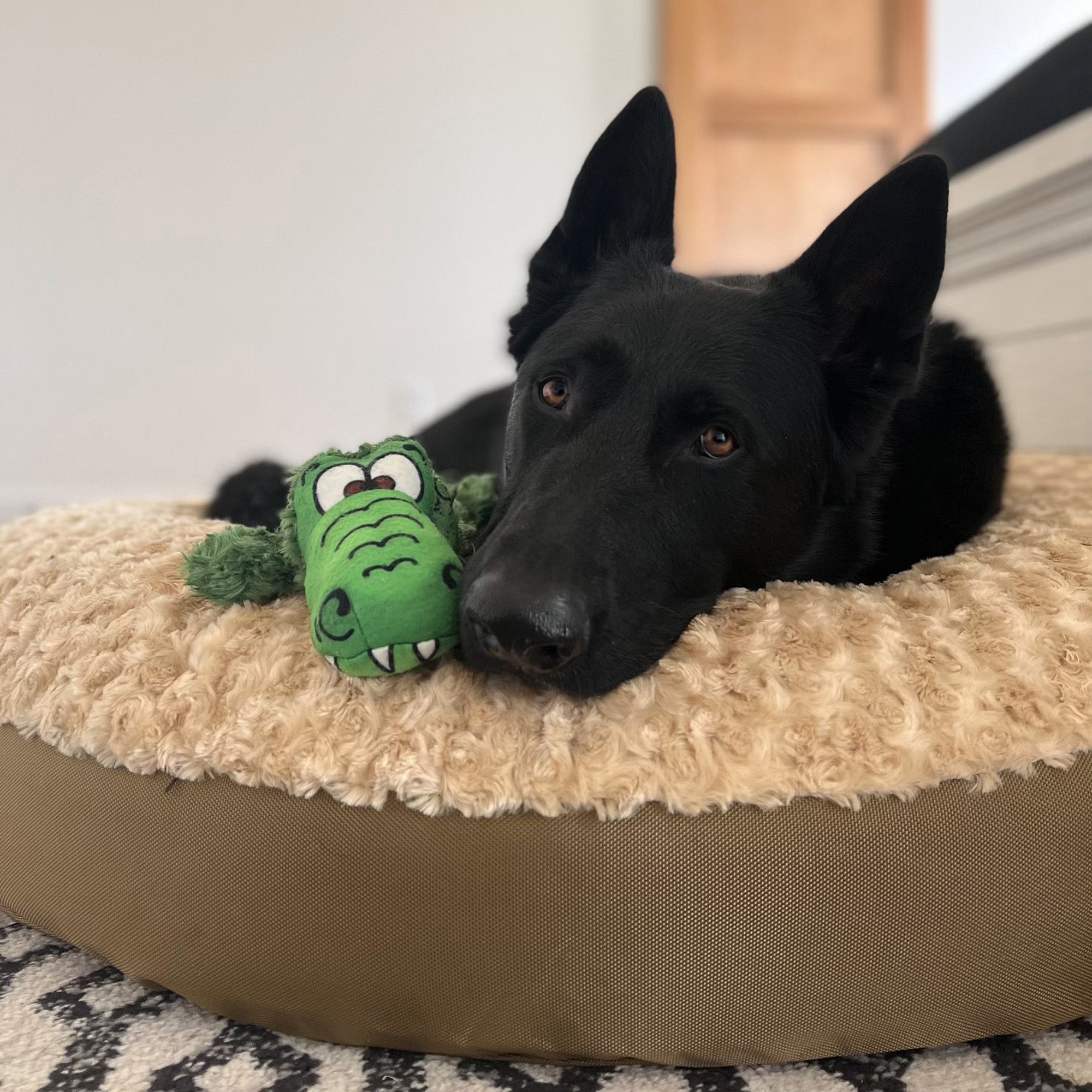 Round Furvana™ Dog Bed