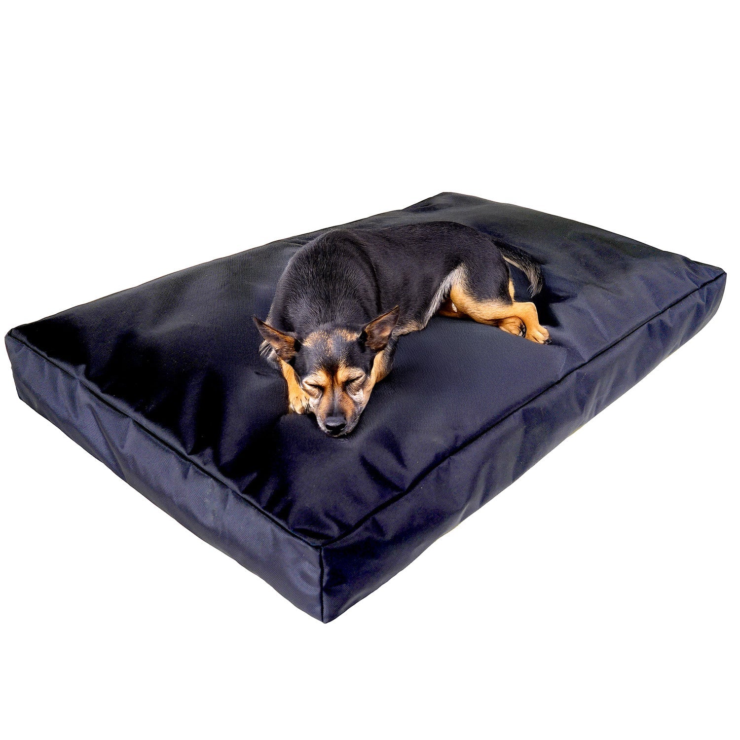 Armor™ Rectangle Dog Bed